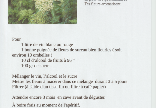 Recettes pour être en forme 