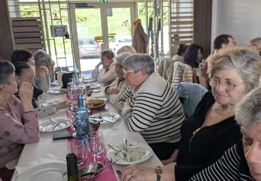 Actualités et Sorties 2026